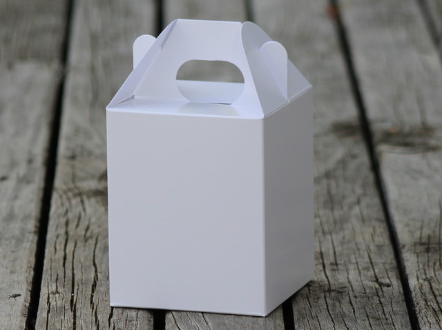 Large white handle box
